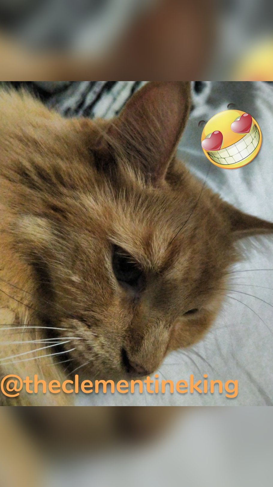 @theclementineking