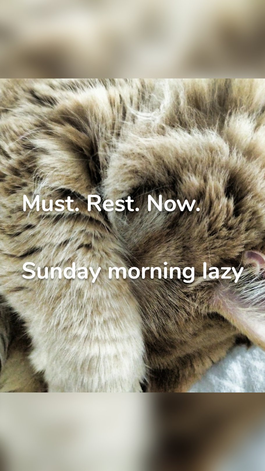 Must. Rest. Now.
Sunday morning lazy